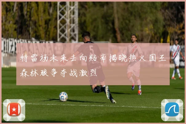 特雷杨未来去向赔率揭晓热火国王森林狼争夺战激烈