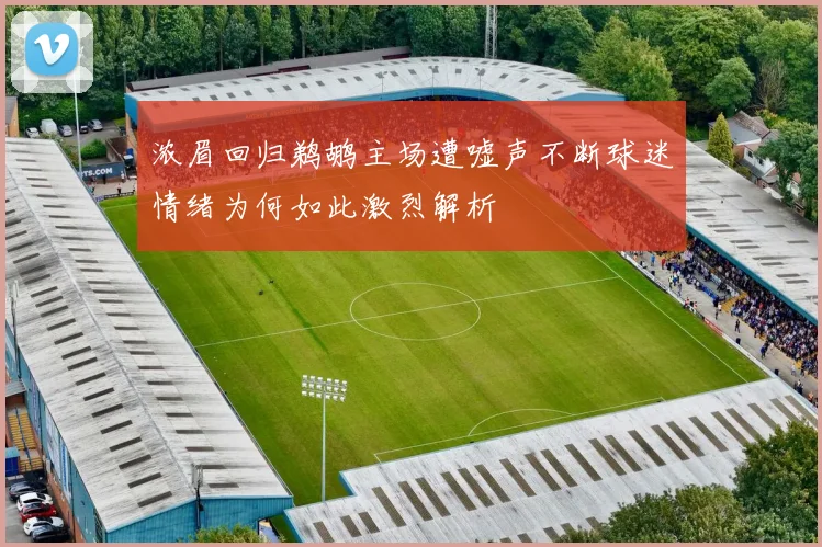 浓眉回归鹈鹕主场遭嘘声不断球迷情绪为何如此激烈解析